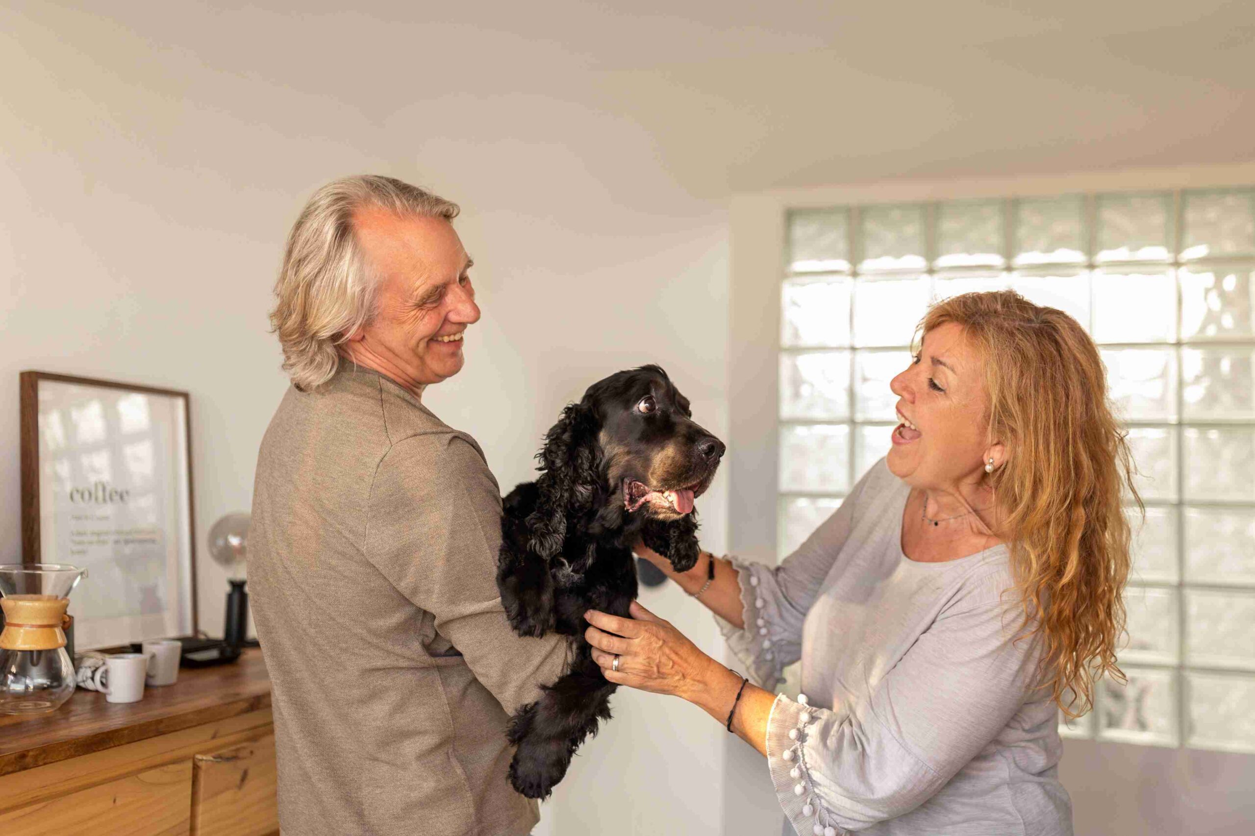 Pet Care Services for Seniors in Ontario