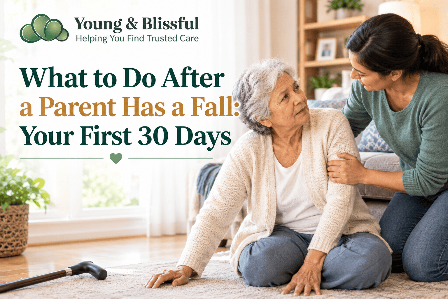 What to Do After a Parent Has a Fall Your First 30 Days